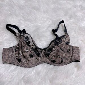 Antinéa blacktan lace bra size 38C